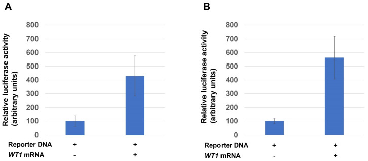 Appropriate Amounts and Activity of the Wilms' Tumor Suppressor Gene, <i>wt1</i>, Are Required for Normal Pronephros Development of <i>Xenopus</i> Embryos.