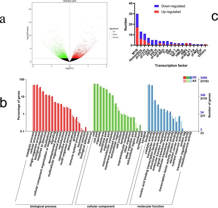 Effects of UVA disappearance and presence on the acylated anthocyanins formation in grape berries