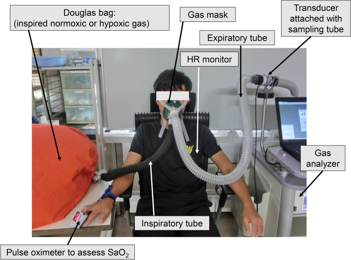 Hypoxic-induced resting ventilatory and circulatory responses under multistep hypoxia is related to decline in peak aerobic capacity in hypoxia.