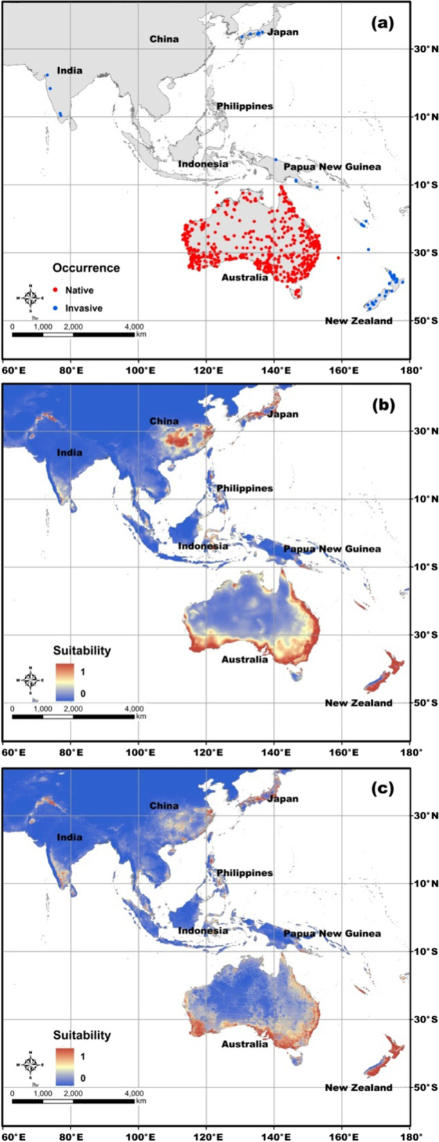 Realized niche shift of an invasive widow spider: drivers and impacts of human activities.