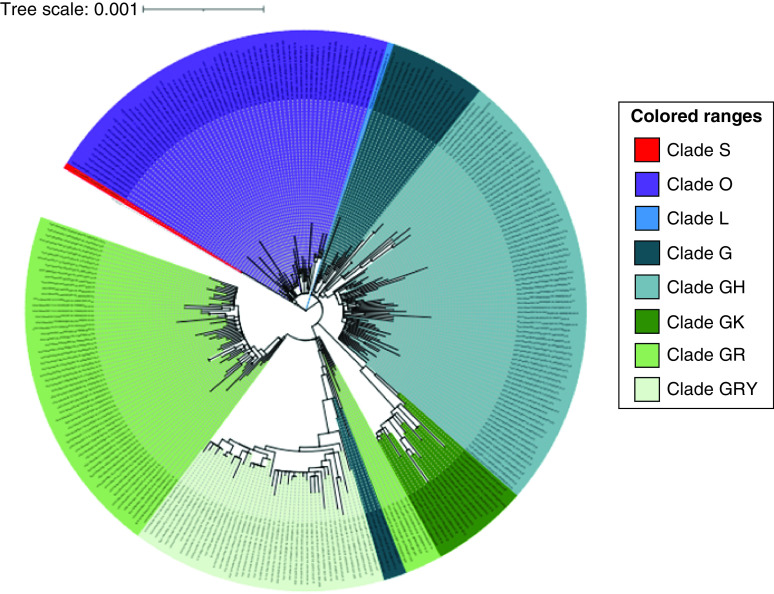 Variation analysis of SARS-CoV-2 complete sequences from Iran.