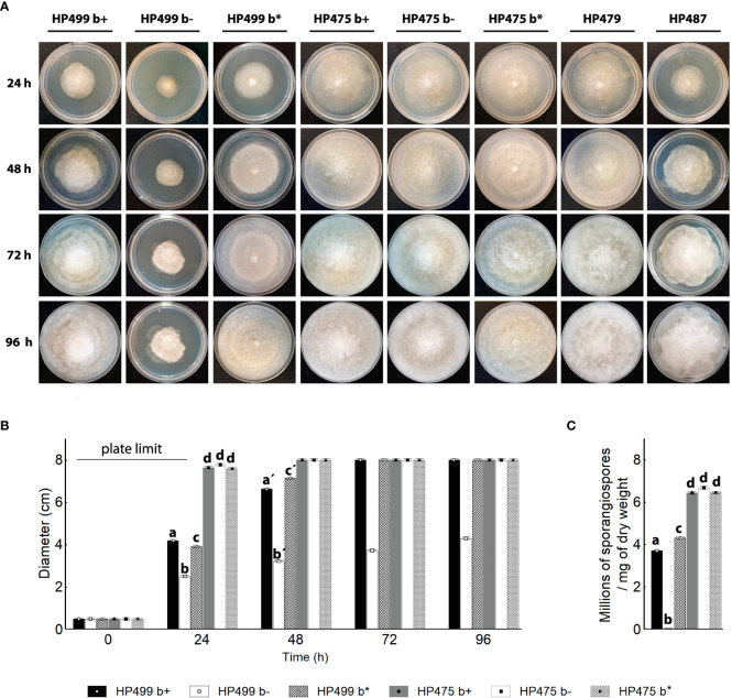 Symbiotic and toxinogenic <i>Rhizopus</i> spp. isolated from soils of different papaya producing regions in Mexico.