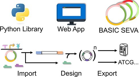 basicsynbio and the BASIC SEVA collection: software and vectors for an established DNA assembly method.