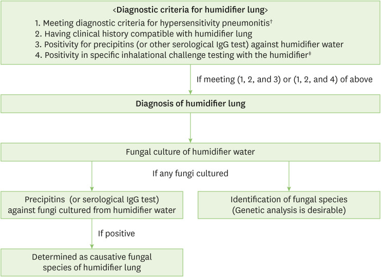 Identification of fungi causing humidifier lung: 2 rare cases and a review of the literature.