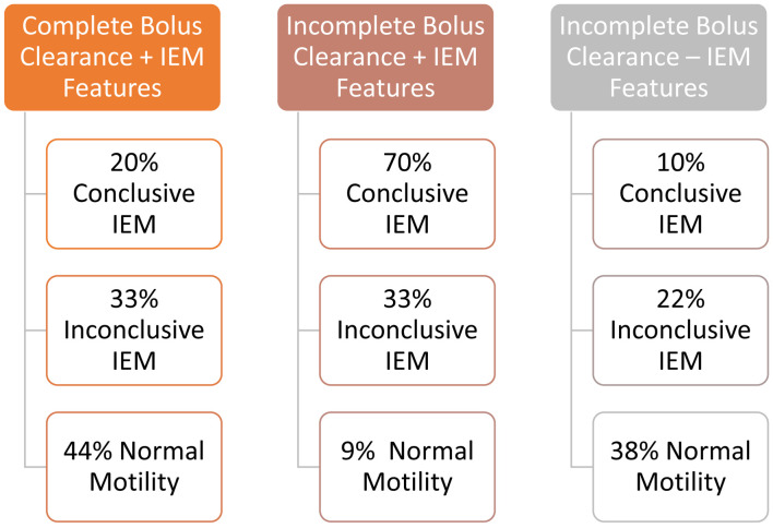 The Supportive Role of Provocative Maneuvers and Impedance Clearance in Detecting Ineffective Esophageal Motility.