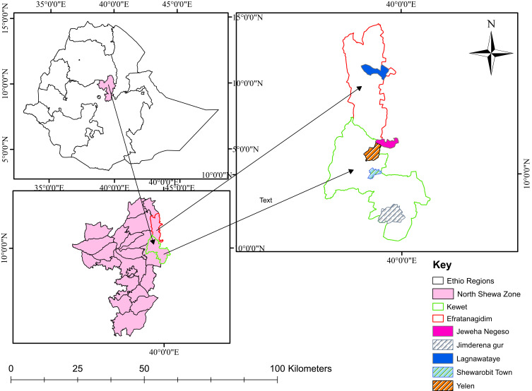 Serological Evidence of Caprine Arthritis Encephalitis in North Shewa Zone, Ethiopia: Clinical Case Analysis.