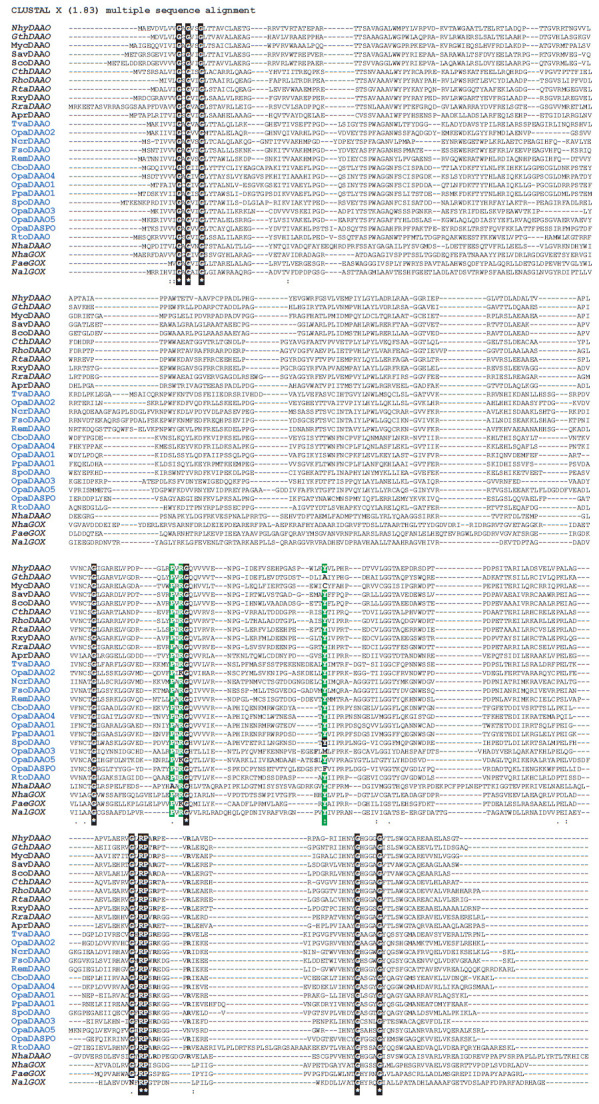 Bioinformatics-Structural Approach to the Search for New D-Amino Acid Oxidases.