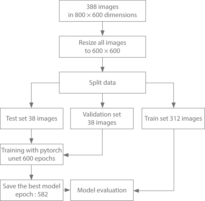 A Deep Learning Approach for Masseter Muscle Segmentation on Ultrasonography.