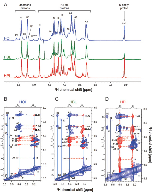 Anticoagulant Activity of Heparins from Different Animal Sources are Driven by a Synergistic Combination of Physical-chemical Factors.