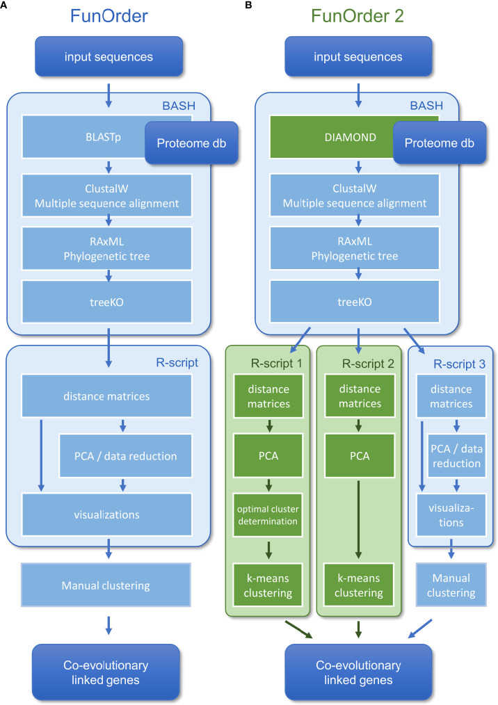 FunOrder 2.0 - a method for the fully automated curation of co-evolved genes in fungal biosynthetic gene clusters.