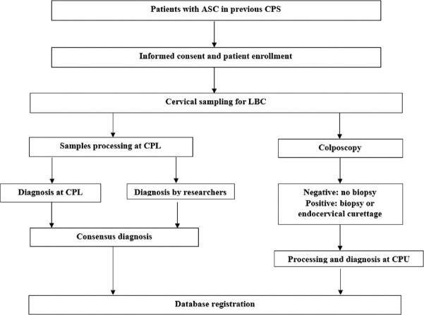 Liquid-Based Cytology in the Detection of Premalignant Lesions in Patients with "Atypia in Squamous Cells" in Conventional Cytology.