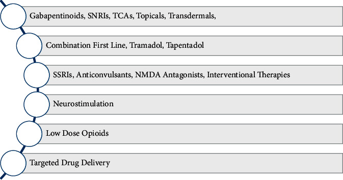 Managing Chronic Neuropathic Pain: Recent Advances and New Challenges.