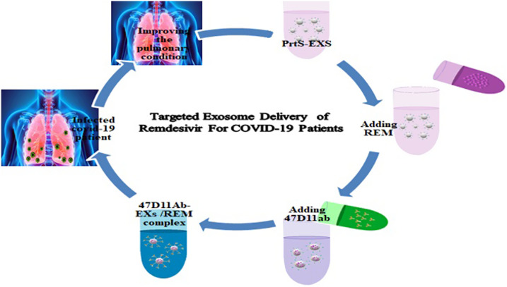 47D11 Antibody-Engineered Exosomes for Targeted Delivery of Remdesivir in Patients with COVID-19: Dream or Principle? (A Critical Editorial Study).