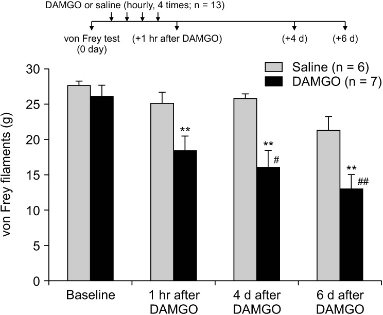 Spinal orexin A attenuates opioid-induced mechanical hypersensitivity in the rat.