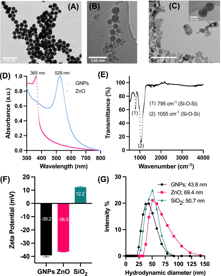 Electric field responsive nanotransducers for glioblastoma.