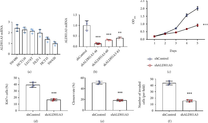 ALDH1A3-Linc00284 Axis Mediates the Invasion of Colorectal Cancer by Targeting TGF<i>β</i> Signaling via Sponging miR-361-5p.