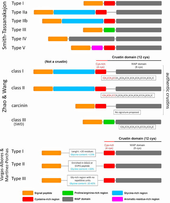 On the wave of the crustin antimicrobial peptide family: From sequence diversity to function