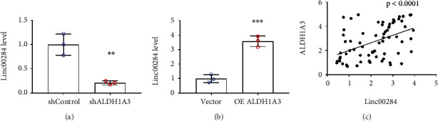 ALDH1A3-Linc00284 Axis Mediates the Invasion of Colorectal Cancer by Targeting TGF<i>β</i> Signaling via Sponging miR-361-5p.