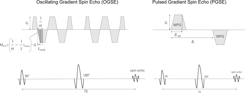 Time-dependent Diffusion in Brain Abscesses Investigated with Oscillating-gradient Spin-echo.