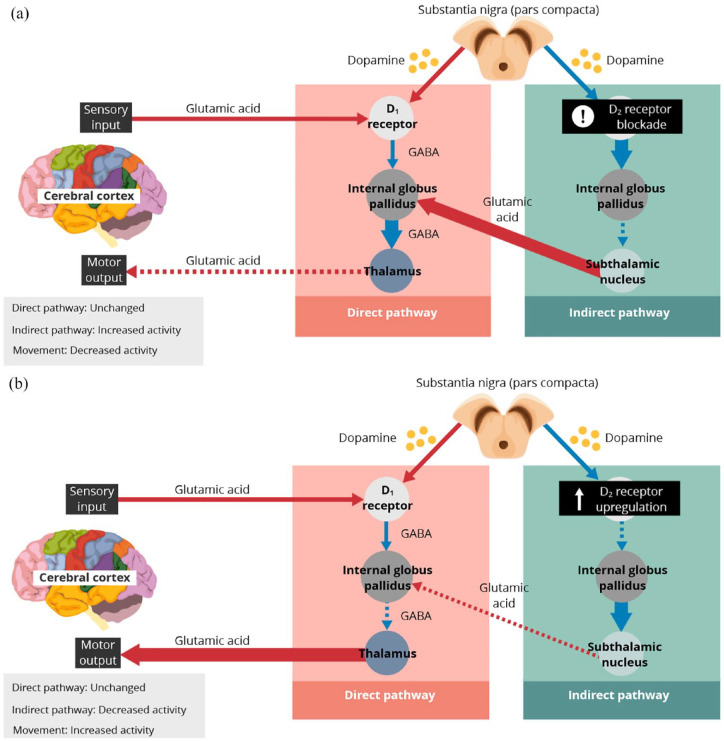 Pathophysiology, prognosis and treatment of tardive dyskinesia.