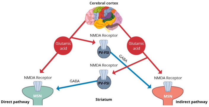 Pathophysiology, prognosis and treatment of tardive dyskinesia.