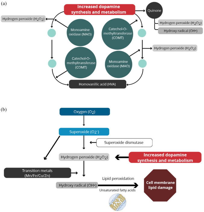 Pathophysiology, prognosis and treatment of tardive dyskinesia.