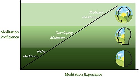 Beyond the veil of duality-topographic reorganization model of meditation.