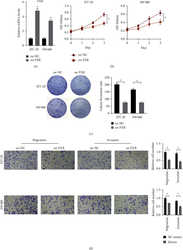 Transcription Factor FXR Activates DHRS9 to Inhibit the Cell Oxidative Phosphorylation and Suppress Colon Cancer Progression.