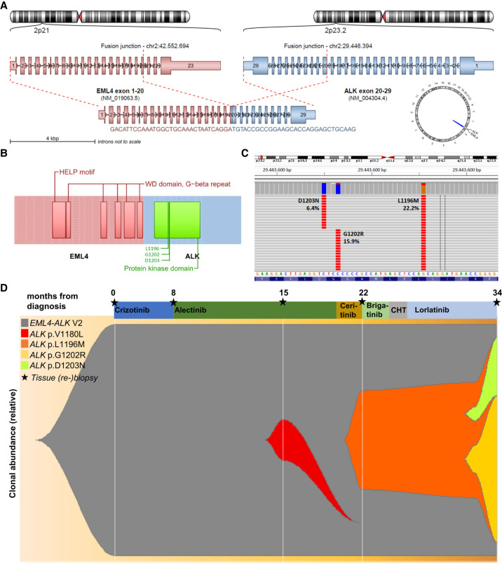 Lorlatinib and compound mutations in ALK+ large-cell neuroendocrine lung carcinoma: a case report.