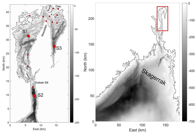 Changes in phytoplankton community structure over a century in relation to environmental factors.