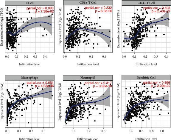 ZNF521 Is Correlated with Tumor Immune Cell Infiltration and Act as a Valuable Prognostic Biomarker in Gastric Cancer.