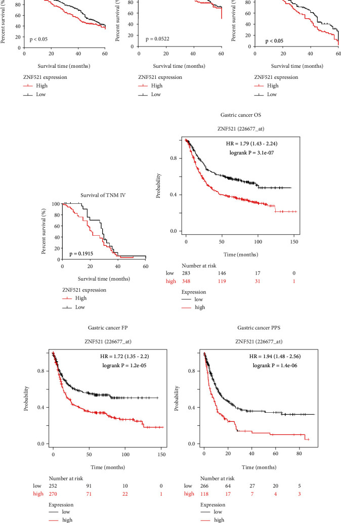 ZNF521 Is Correlated with Tumor Immune Cell Infiltration and Act as a Valuable Prognostic Biomarker in Gastric Cancer.