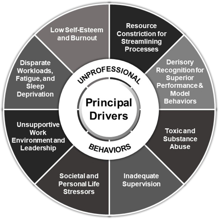 Medical Professionalism in the Provision of Clinical Care in Healthcare Organizations.