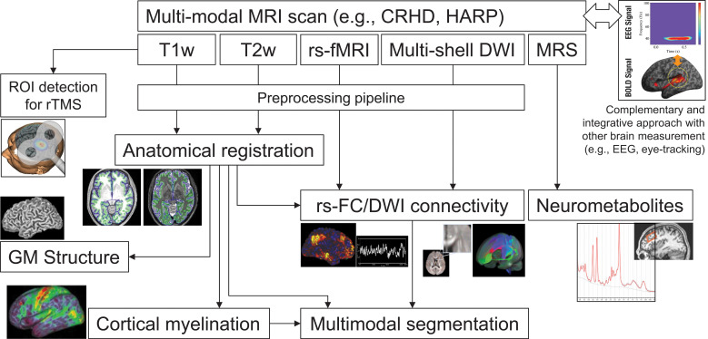 Recent Advances and Future Directions in Brain MR Imaging Studies in Schizophrenia: Toward Elucidating Brain Pathology and Developing Clinical Tools.