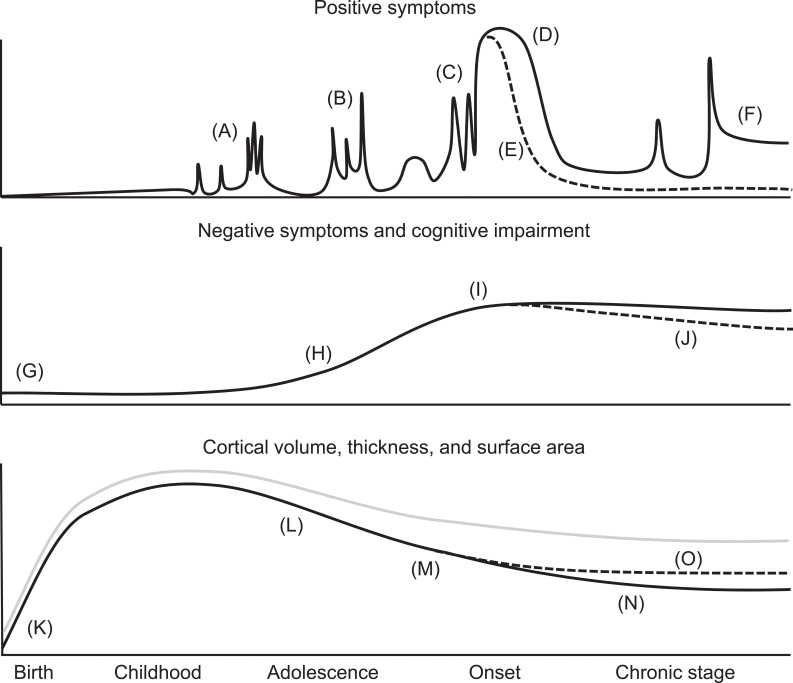 Recent Advances and Future Directions in Brain MR Imaging Studies in Schizophrenia: Toward Elucidating Brain Pathology and Developing Clinical Tools.