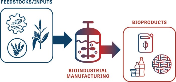 Bioindustrial manufacturing readiness levels (BioMRLs) as a shared framework for measuring and communicating the maturity of bioproduct manufacturing processes.