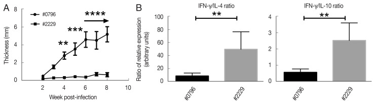 Hypoxia-Inducible Factor-1 Alpha Stabilization in Human Macrophages during Leishmania major Infection Is Impaired by Parasite Virulence.