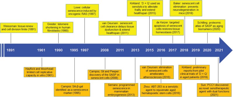 Targeting senescent cells for a healthier longevity: the roadmap for an era of global aging.