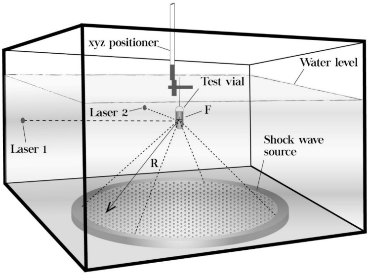 Effect of Shock Waves on the Growth of <i>Aspergillus niger</i> Conidia: Evaluation of Germination and Preliminary Study on Gene Expression.
