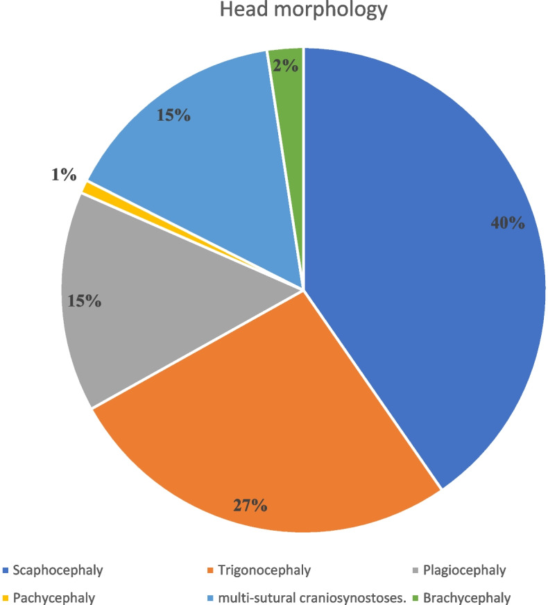 The management of perioperative pain in craniosynostosis repair: a systematic literature review of the current practices and guidelines for the future.