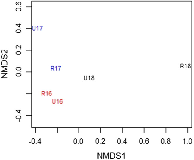 Summer pollen flora in rural and urban central England dominated by nettle, ryegrass and other pollen missed by the national aerobiological network