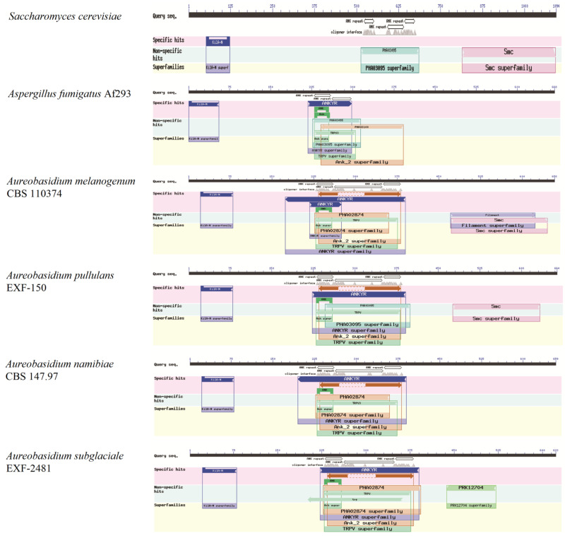 Transcription Factors in <i>Aureobasidium</i> spp.: Classification, Regulation and a Newly Built Database.
