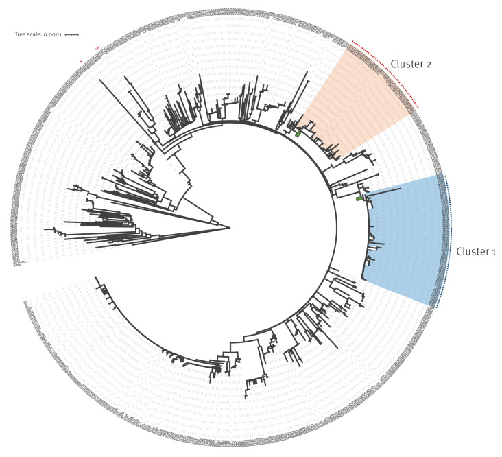 Integrated genomic surveillance enables tracing of person-to-person SARS-CoV-2 transmission chains during community transmission and reveals extensive onward transmission of travel-imported infections, Germany, June to July 2021.