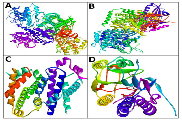 In Vitro, Molecular Docking and In Silico ADME/Tox Studies of Emodin and Chrysophanol against Human Colorectal and Cervical Carcinoma.