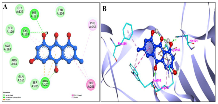 In Vitro, Molecular Docking and In Silico ADME/Tox Studies of Emodin and Chrysophanol against Human Colorectal and Cervical Carcinoma.
