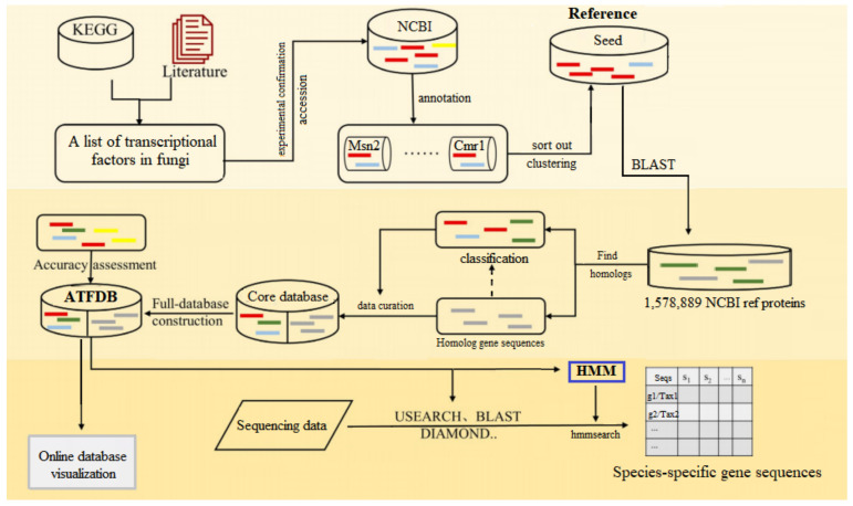 Transcription Factors in <i>Aureobasidium</i> spp.: Classification, Regulation and a Newly Built Database.