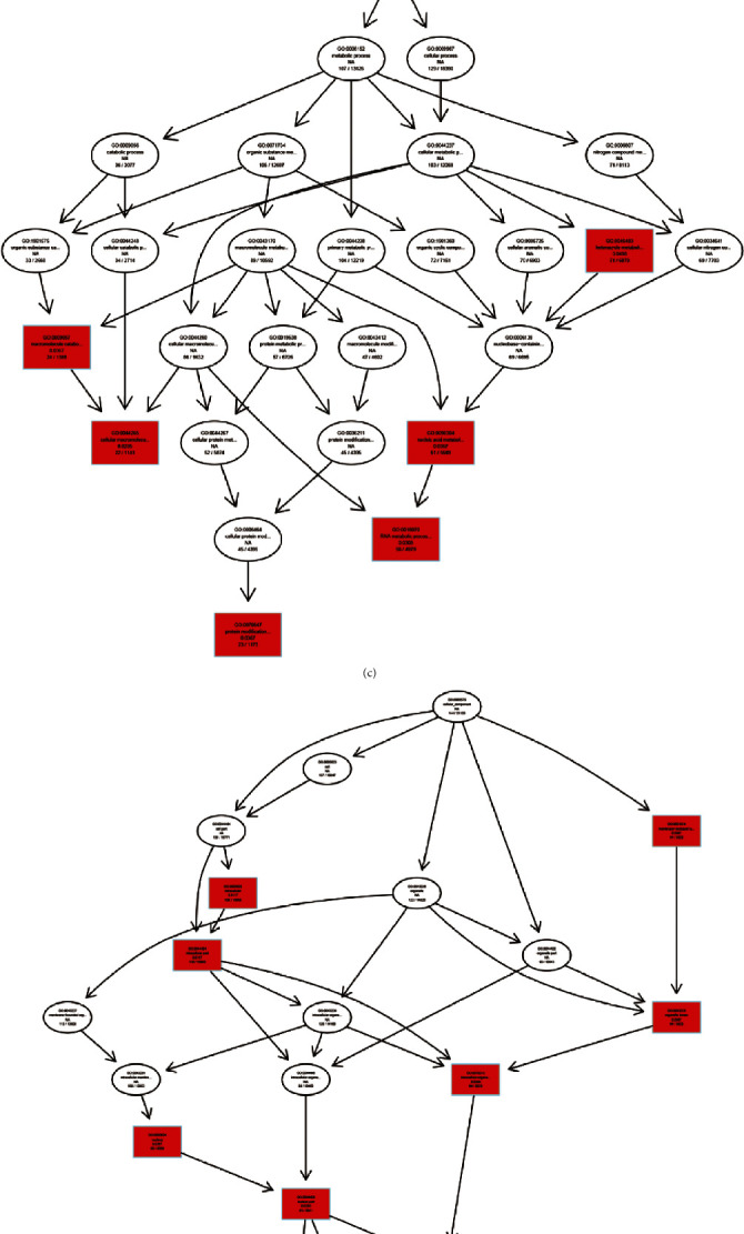 Expression Profiles of Differentially Expressed Circular RNAs and circRNA-miRNA-mRNA Regulatory Networks in SH-SY5Y Cells Infected with Coxsackievirus B5.