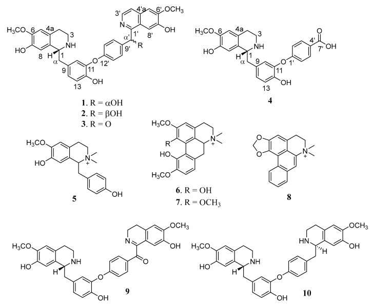 Benzylisoquinoline Alkaloids from the Stems of <i>Limacia scandens</i> and Their Potential as Autophagy Inhibitors.