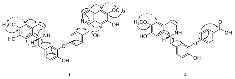 Benzylisoquinoline Alkaloids from the Stems of <i>Limacia scandens</i> and Their Potential as Autophagy Inhibitors.