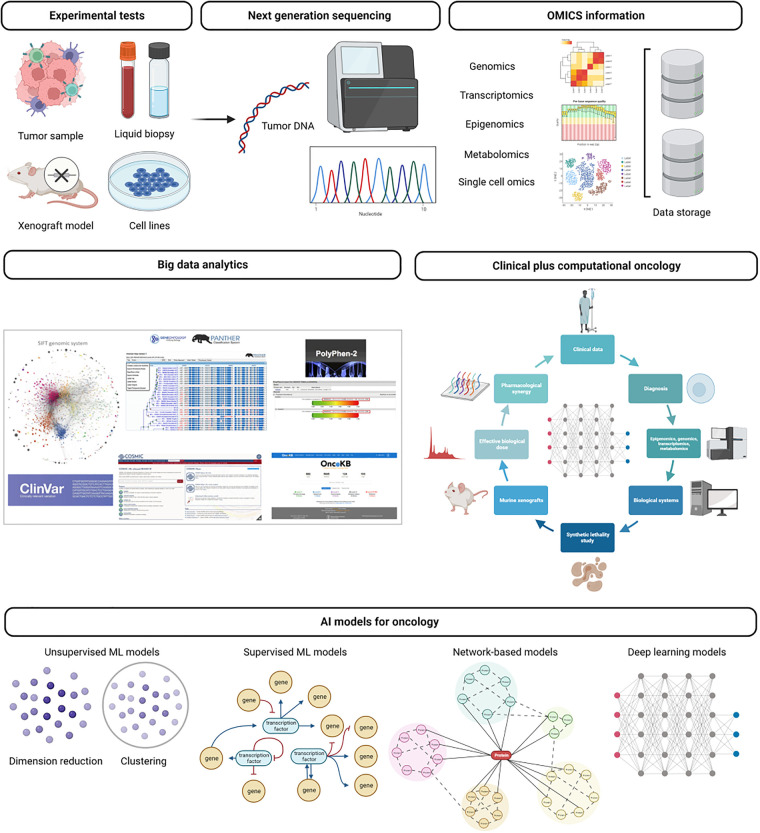 Integration of artificial intelligence and precision oncology in Latin America.